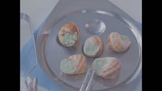 Hikikomori Music Video