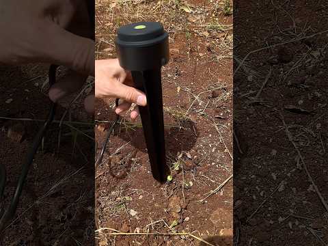 Probably The Best Outdoor Speaker System In The World.