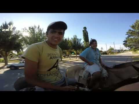 Mario Dj Padin en PANAHOLMA