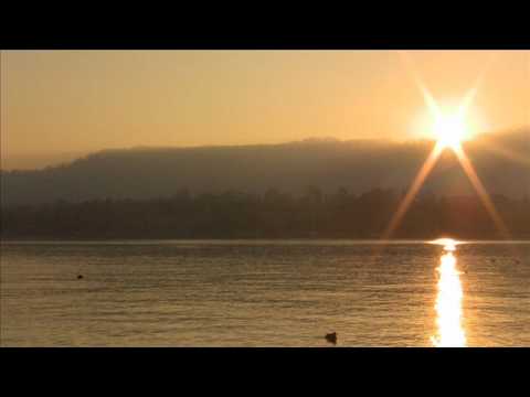 Valeska Steiner - Can't Make You Love Me