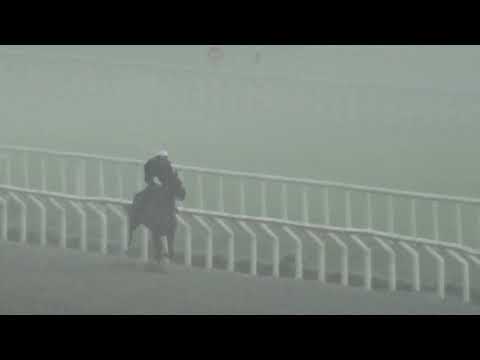 OLYMPIC HARVARD(Brz)-REVISTA INVASOR