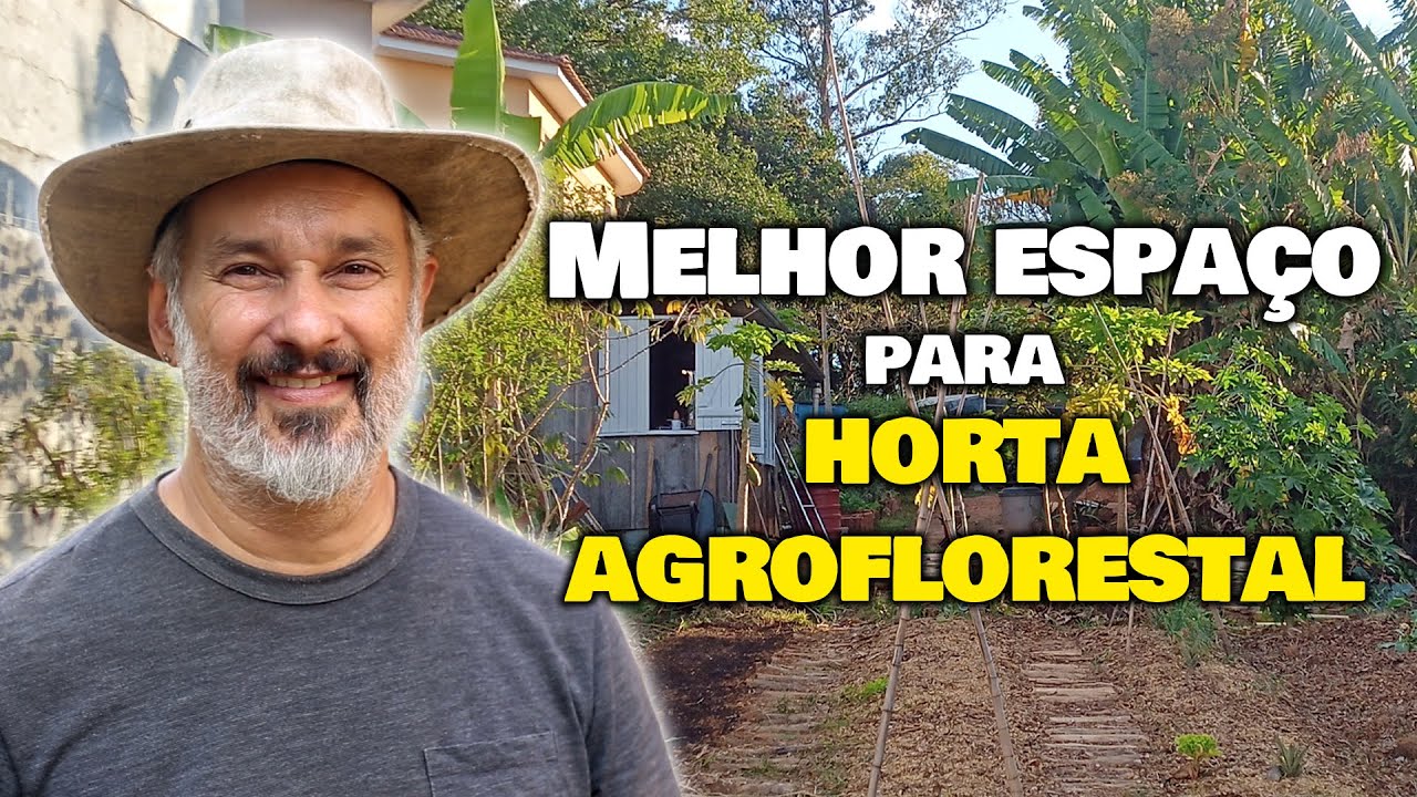 Qual é a menor área necessária para implantar a horta agroflorestal?