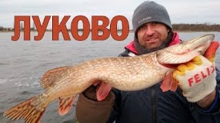 Рыбалка на озере селяхи брестская область