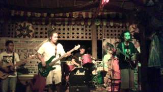 The Garden-Tribal Seeds