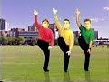 The Wiggles John Bradelum 1993 Music Video VHS Quality 2024 Remake