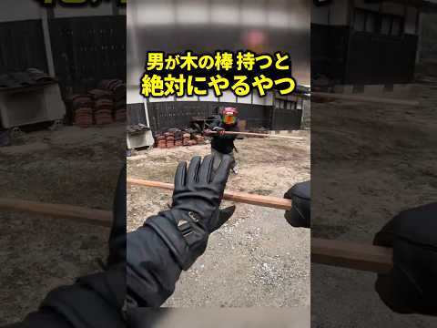 男が長い木の棒を持つと絶対やるやつ  #あるある  #バイク #ツーリング