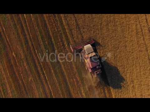 Rural Combine Working On Buckwheat Field - Stock Footage | VideoHive 15354179