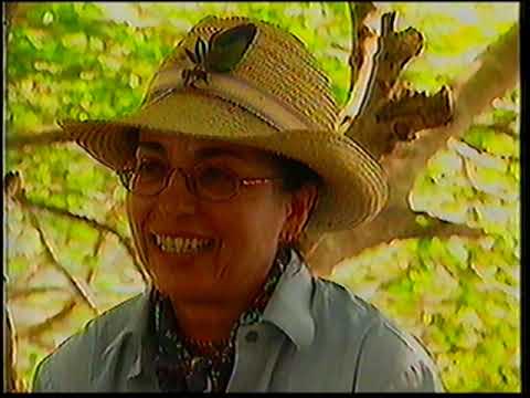 Globo Repórter - Pantanal (Inclui Comerciais) :: 03/10/1997 (Globo RJ)