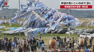 - 【速報】希望の青いこいのぼり、空に 東日本大震災の被災地、宮城・東松島