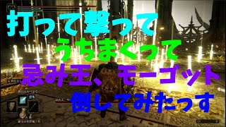 オイラのエルデンリングはシューティングゲーム #エルデンリング