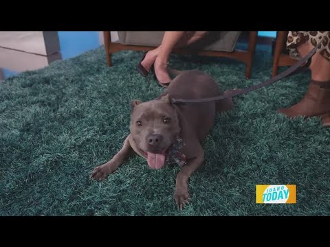 Gabby is full of holiday cheer and joy - YouTube