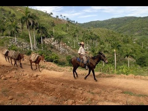 "Por el Caminito", Mane Ferret!!!