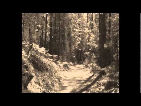 Adrian James - Wishing on You