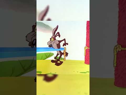 Looney Physics #RoadRunner #LooneyTunes #ClassicCartoons #Cartoonito  | Watch more on Cartoonito