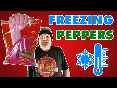 FREEZING PEPPERS FOR LATER USE and Freezing peppers whole. How to freeze peppers, the easy way.