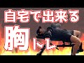 【これで十分】自宅で出来る胸トレ【初心者用】