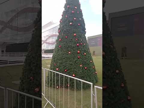 O NATAL ESTÁ CHEGANDO. #caldasnovas #paisagemnatural #naturezasurpreendente #goiânia