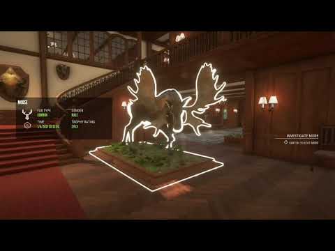 Spring Creek lodge tour