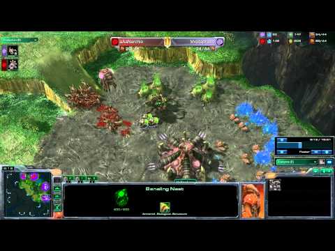 20110531 Nerchio(Z) vs Stephano(Z) Game 3