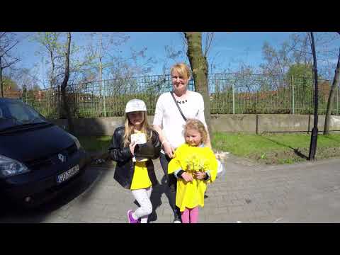 Uczniowie SP49 kwestują na rzecz hospicjów