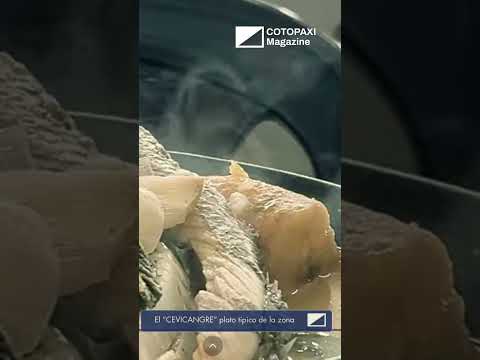 🌿 Turismo comunitario en Ecuador: Vuelta Larga – Río Verde (Esmeraldas) 🇪🇨