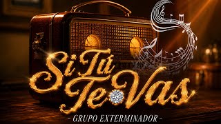 Si Tu Te Vas Lyrics English Translation
