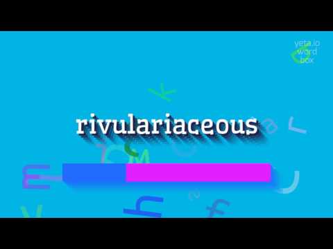 How to say "rivulariaceous"! (High Quality Voices)