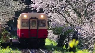 Yumi Matsutoya - Haru yo koi : gachiHYPER RIGHTEREST VERSION