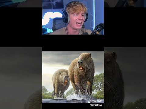 Animals That Used To Be Giants! 🦖