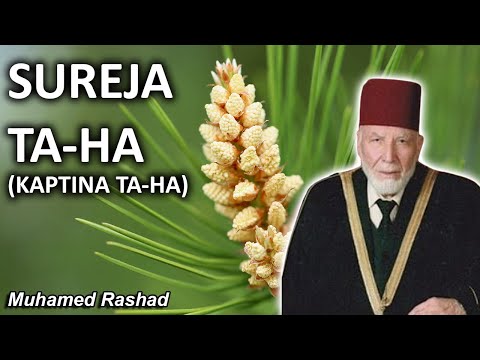 Sureja Ta-Ha (Kaptina Ta-Ha) - Muhamed Rashad