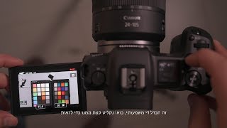 הסקירה המשולשת- וידאו