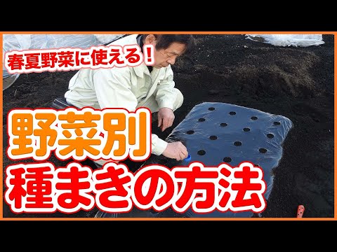 種まきに関する10の質問と回答 トピックス