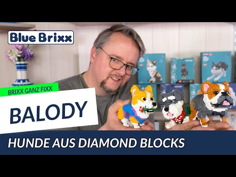 Englische Bulldogge (diamond blocks) 