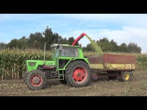 Landb.  De Clercq B - Hamme