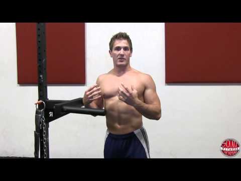 Muscular Strenght Title