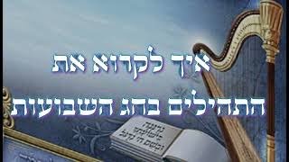 איך לנגן את ספר התהלים בחג השבועות || יום ההילולא של דוד המלך עליו השלום [שיעור משוחזר]