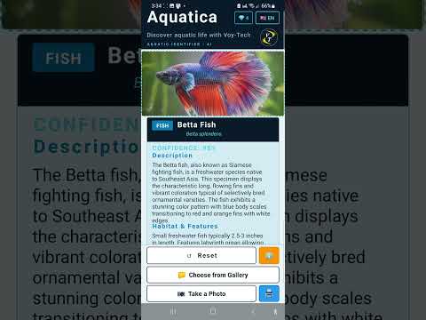 Aquatica video thumbnail