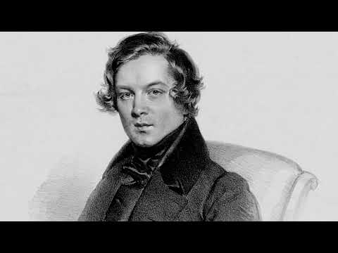 Robert Schumann - Dichterliebe Op.48: Im wunderschönen Monat Mai (PIANO SOLO FOR SOPRANO)