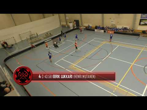 Maalikooste LNM - Tiikerit 5.1.2019