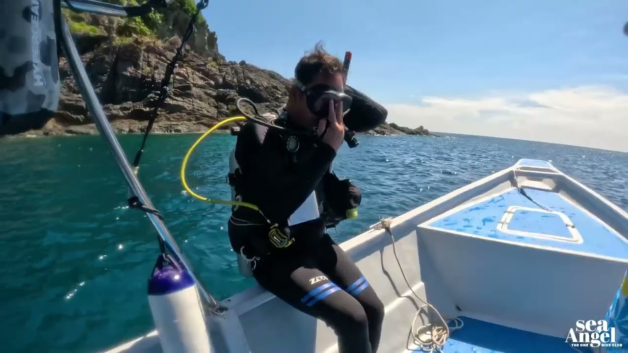 Underwater world with The One Tenggol Island Resort