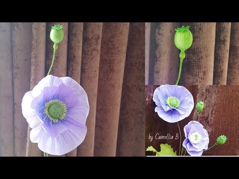 Crepe paper flowers How to make Paper Opium Poppy flowers from crepe paper