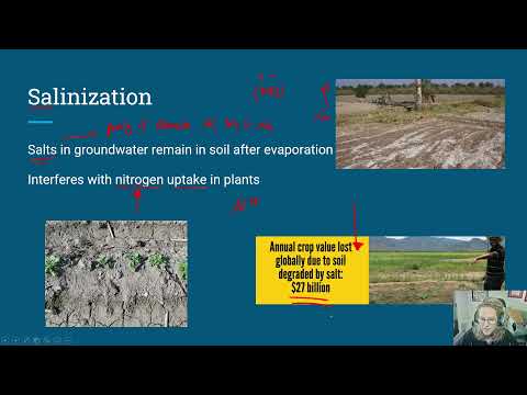 5 5 Irrigation Miceli Apes