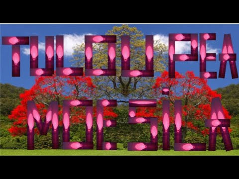 Sela dalziel - Tulou Pea Moe Sila ( by FMRK)