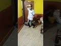 Pungi Song Hindi