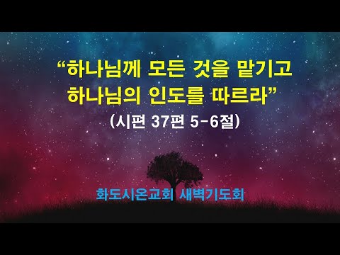 (다윗의 잠언 8) 하나님께 모든 것을 맡기고 하나님의 인도를 따르라