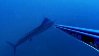 Rob Allen Spearfishing - Mozam Magic