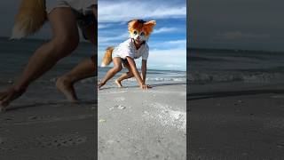 long time no see... how are ya?🐾 [ #therian #furry #quadrobics #therianthrophy #quadrobicsjump ]