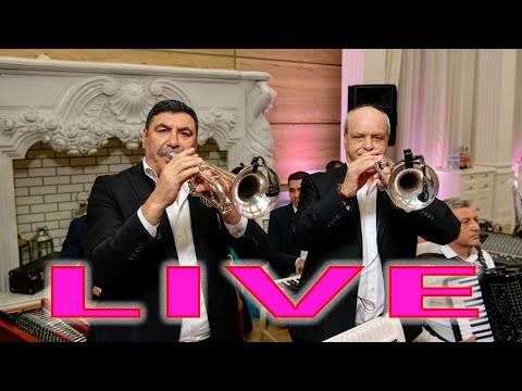 ❌LIVE NUNTA 🎤 Igor Rusu🎺 Adam Stinca 🎬Oleg Antoci🎺 Valodea Duminica 🎬LiVe Nunta 2023