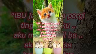 Download lagu Quotes sad | kucing lucu | menyentuh hati | status wa | #sedih #quotesindonesia mp3 Download lagu Quotes sad | kucing lucu | menyentuh hati | status wa | #sedih #quotesindonesia mp3