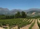 download lagu mp3 mp4 Bellingham Wines South Africa, download lagu Bellingham Wines South Africa gratis, unduh video klip Bellingham Wines South Africa